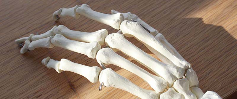 Hand-Knochen